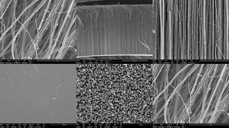 Scanning Electron Microscopy image from a cross-section of multi-wall carbon nanotubes carpets