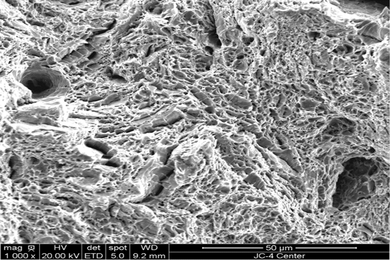 A micrograph