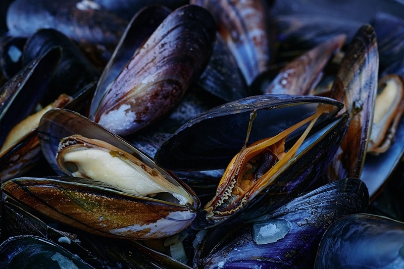 Cooked mussels