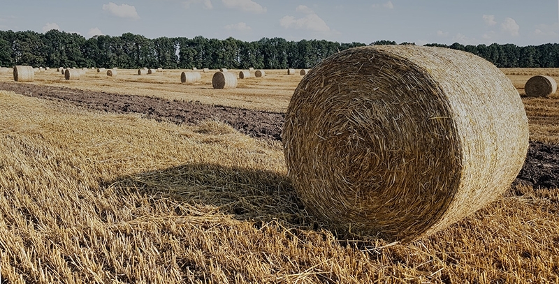 Bale of hay