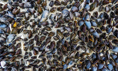 peter-secan-gB2PzqtJ_as-unsplash copy.jpg