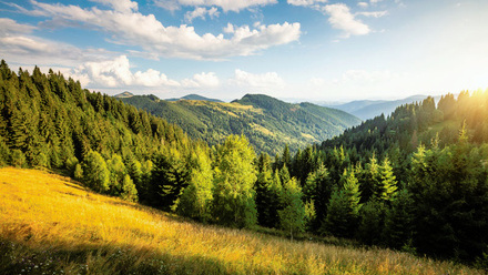 shutterstock_2499073105.jpg