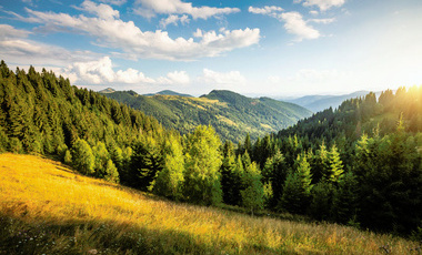 shutterstock_2499073105.jpg