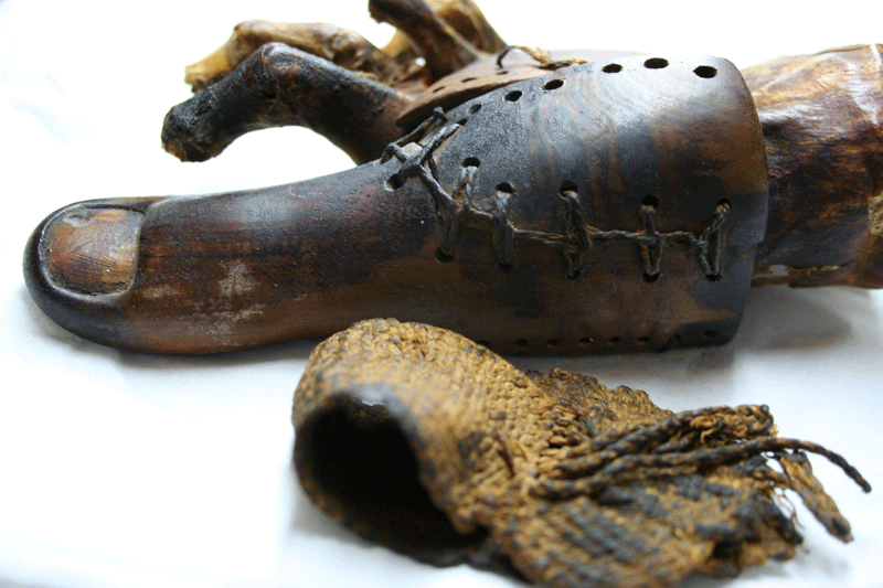 A prosthetic toe dating back to between 950 and 710BC, which is thought to be the first example of prosthesis