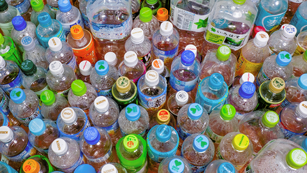pet bottles_800x533.png