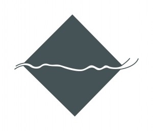 A cracked carbide inclusion in a steel