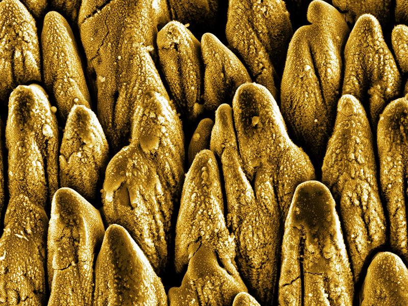 Scanning Material Image IOM3 | International Materials Reviews Vol. 71, No. 3, published