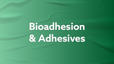 Bioadhesion & Adhesives - web image.jpg