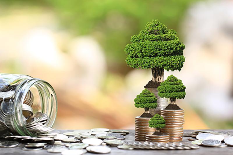 Image of money jar and tree