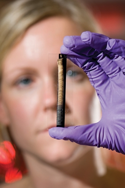 Pictured: Professor Eleanor Schofield with one of the wood samples taken from the ship’s hull