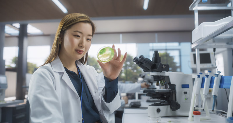 Medical and Bioengineering Research Science Laboratory with Bacteriology Researcher Analysing a Petri Dish