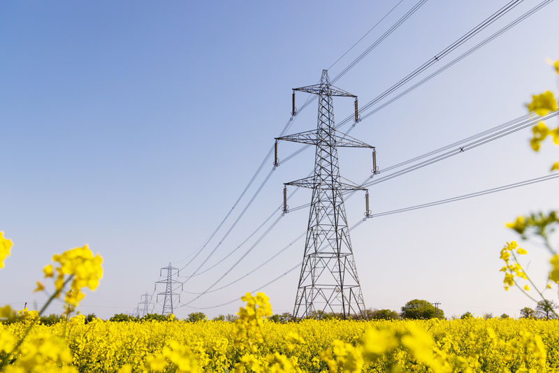 Electricity grid