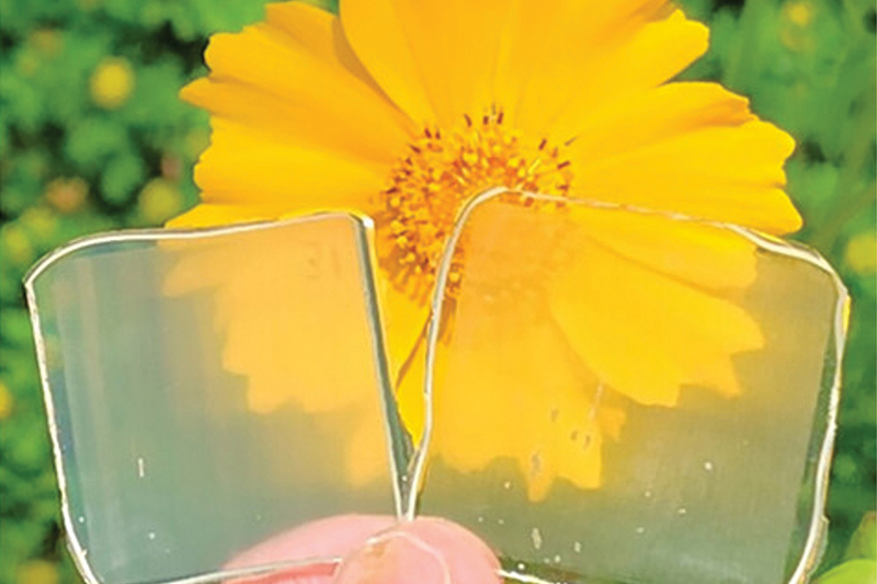 close up of a flower and two transparent samples