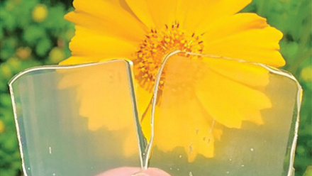 CMYK copy web.jpg