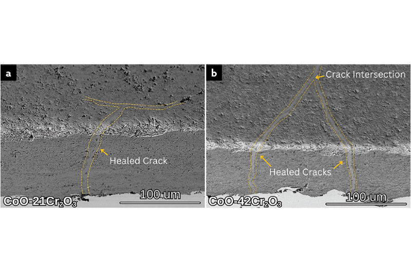 Micrographs showing damaged coatings CoO-21Cr2O3 and CoO-42Cr2O3