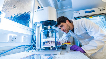 ROYCE LABS 3.jpg