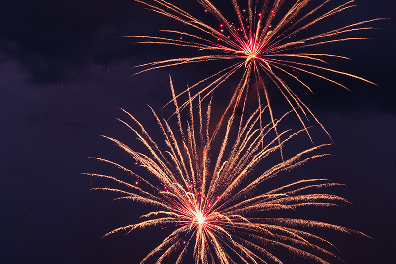 Two fireworks exploding in the night sky