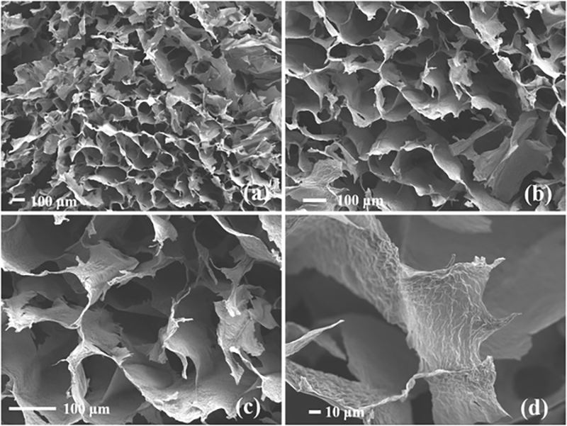 Microscopy images of graphene‐based aerogels