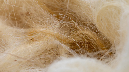shutterstock_2680603431.jpg