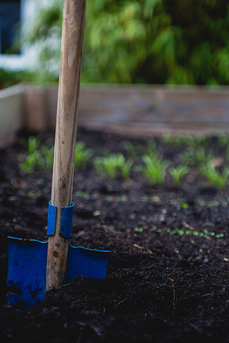 Spade in soil