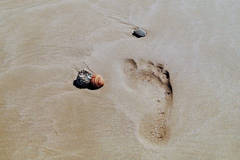 Footprint in sand with stones and a shell