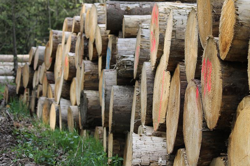 Logs