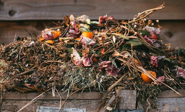 compost.jpg 1