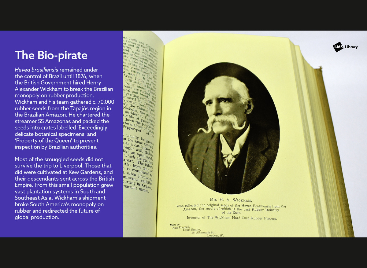 The Bio-pirate