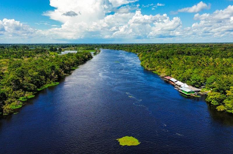 A picture of a river in the Amazon from a birds-eye view