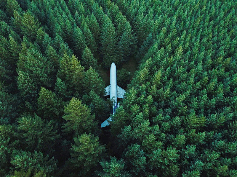 An aeroplane surrounded by trees