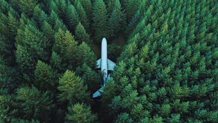 Plane in trees.jpg