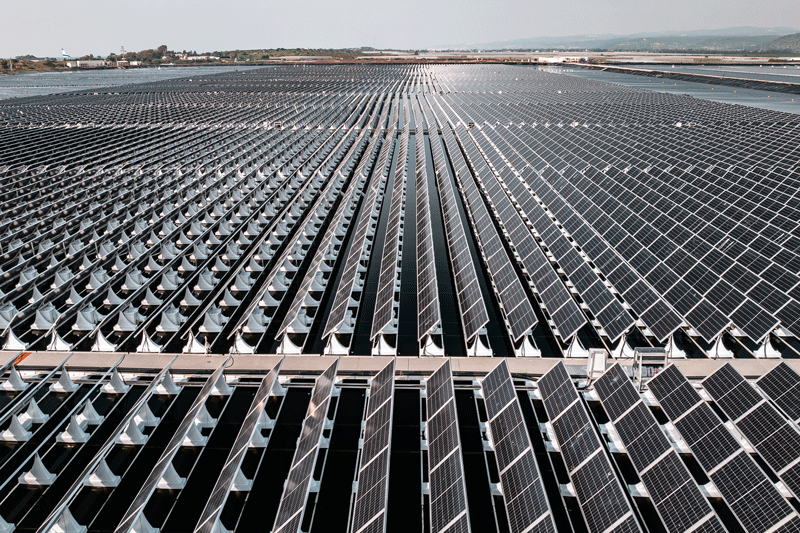 Hundreds of solar panels arranged in rows
