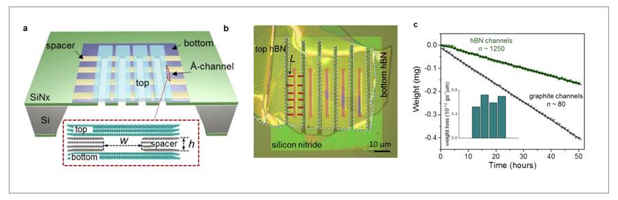 The changes in permeability are shown