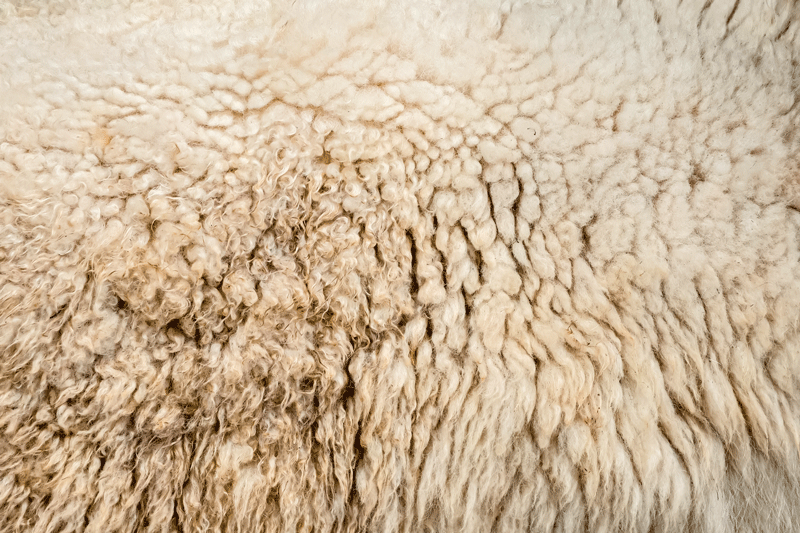 A close up of wool