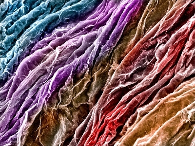 A scanning electron microscopy image of the surface of a Ti₃C₂ MXene film. Fake colours are added using computer software