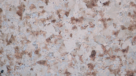 MW April 2025_p53 Product focus_Hero image for web.jpg
