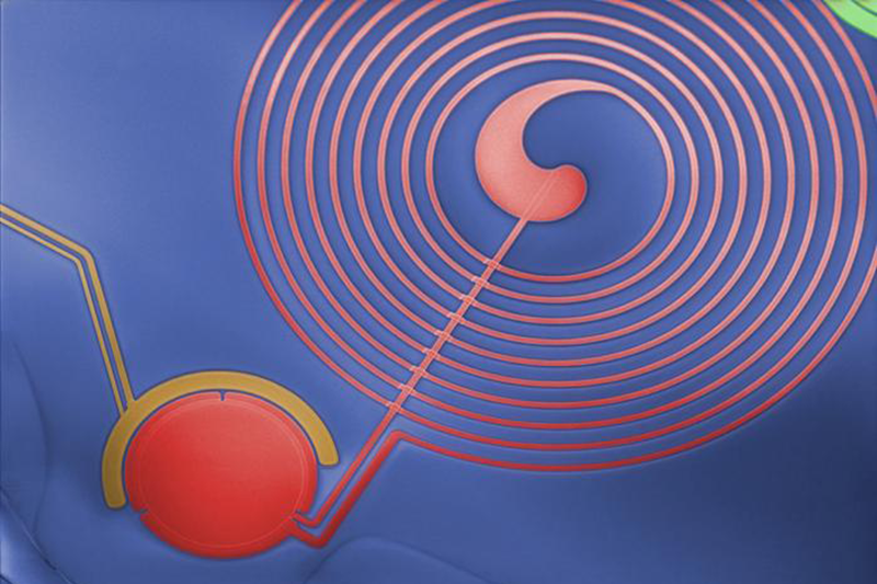 Microscope image of a nano device created by Vienna University of Technology researchers
