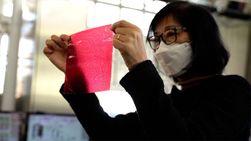 researcher looking at a sheet of apple pomace