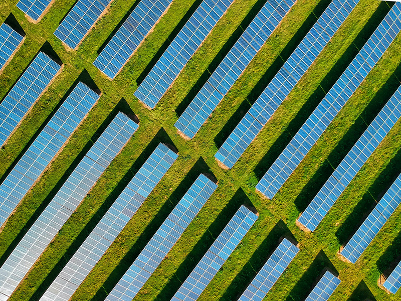 Solar panels set out in rows with green space between