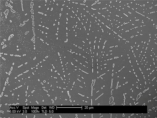 Electron micrograph on bacteria on glass