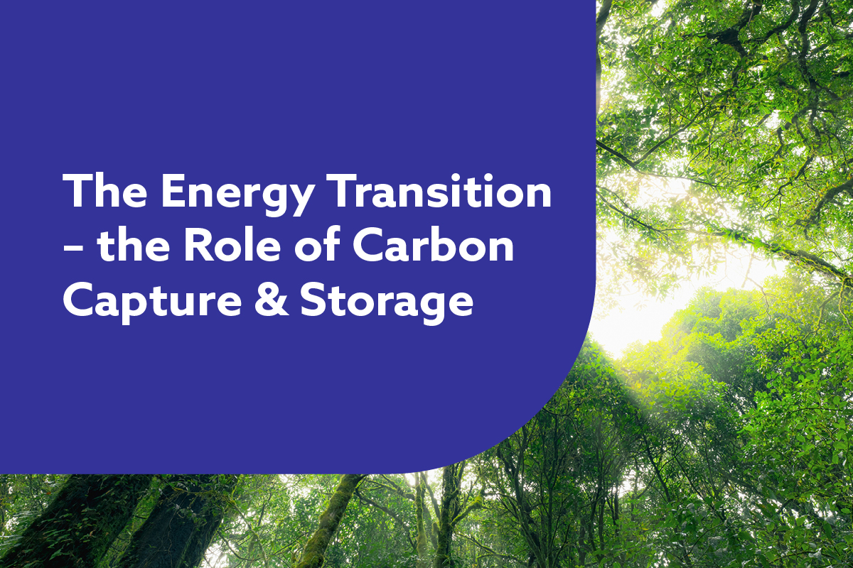 The Energy Transition - The Role of Carbon Capture and Storage