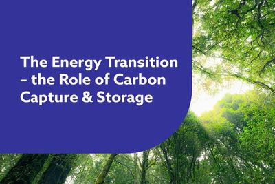 The Energy Transition - The Role of Carbon Capture and Storage