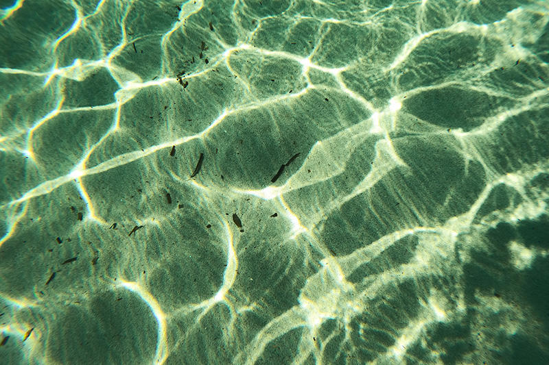 reflected sunlight on a shallow seabed