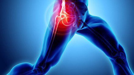 hip hero image for website.jpg