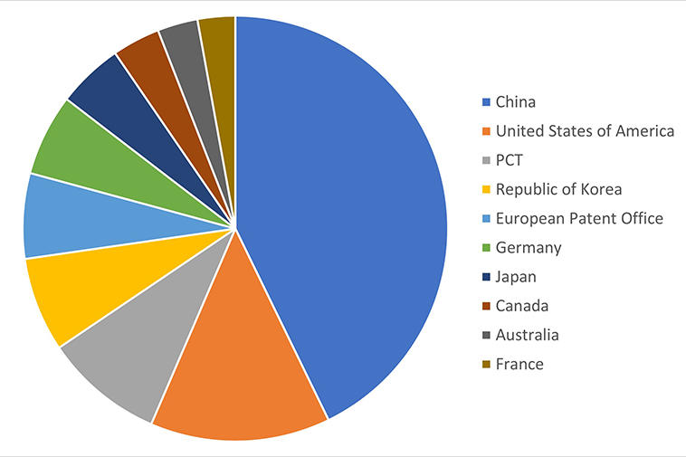 Pie chart showing different countries applications by ratio