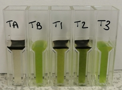 Algae in the lab.
